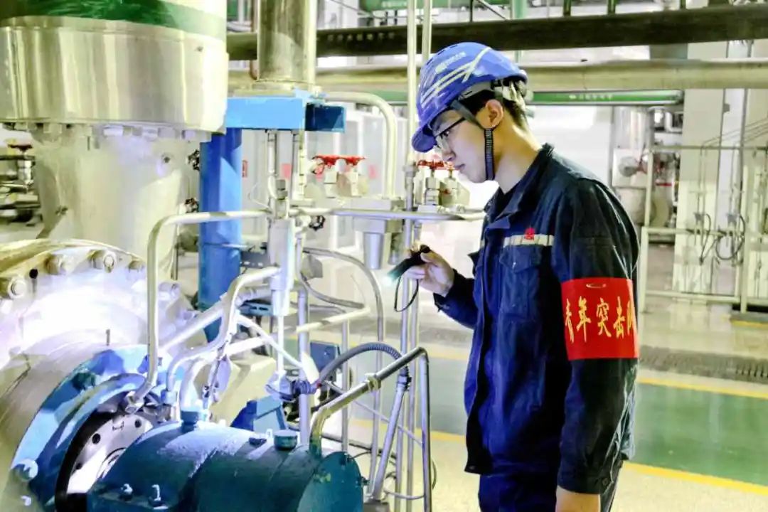 1704675894134044287.jpg 盤2.jpg