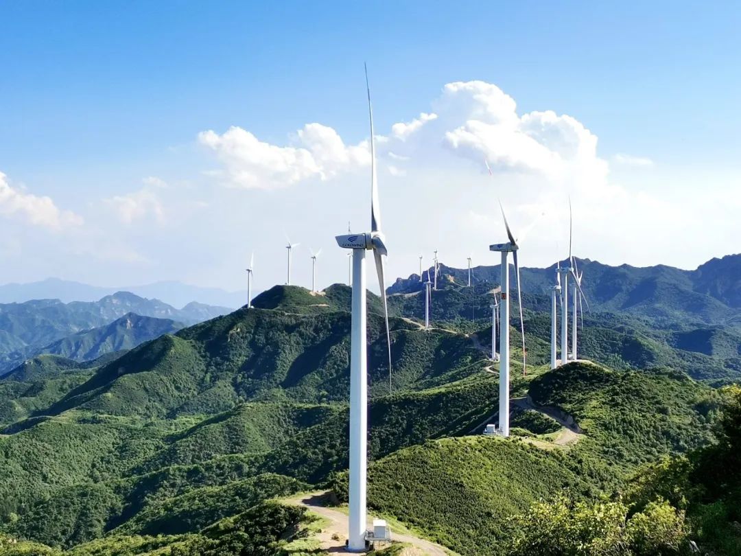 1704675971825032379.jpg 張新1.jpg