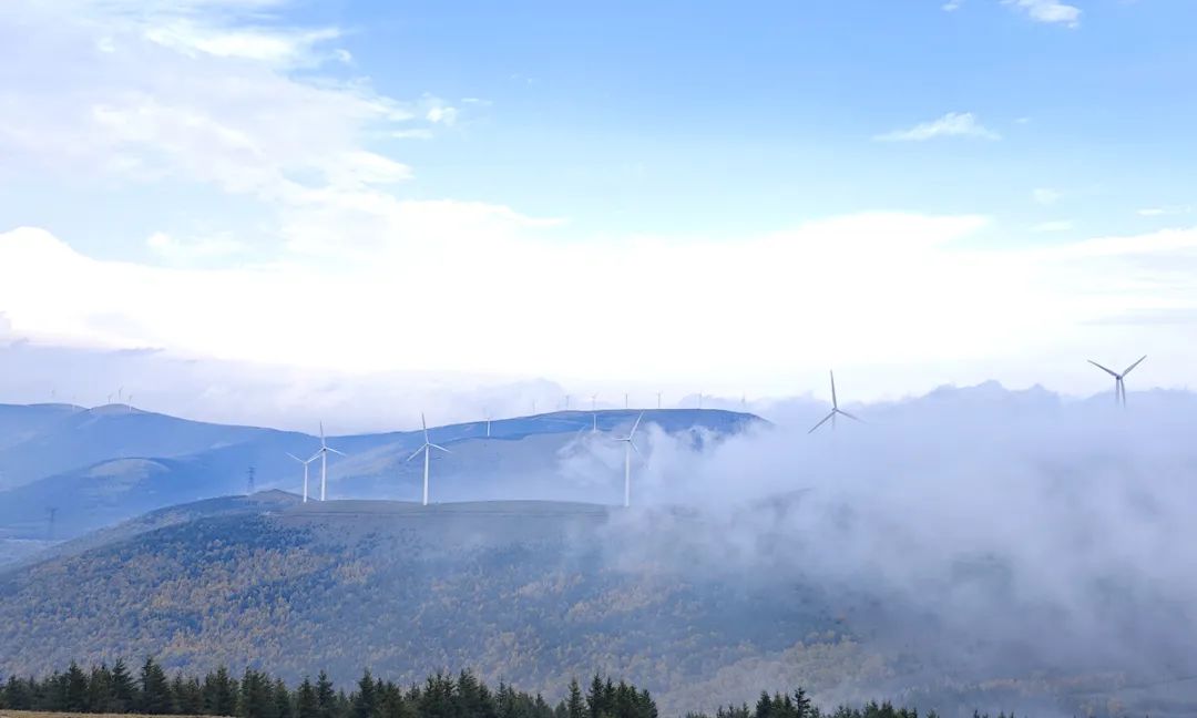 1705458762319086697.jpg 微信圖片_20240117102935.jpg